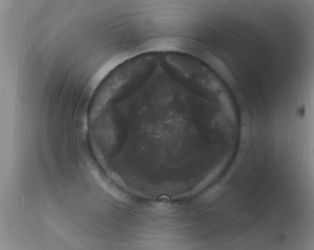 X0000110941226200907022126