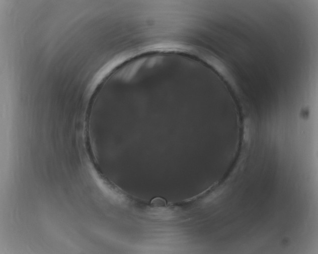 X0000110941229200907022126