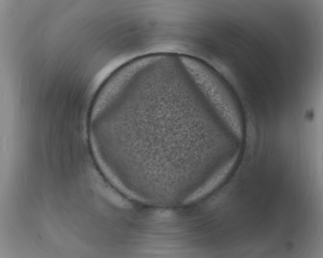 X0000110941230200907022126