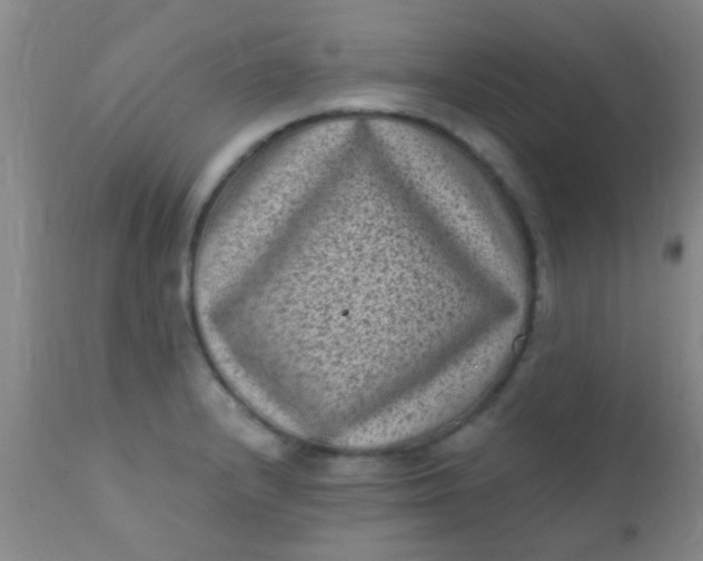 X0000110941232200907022126