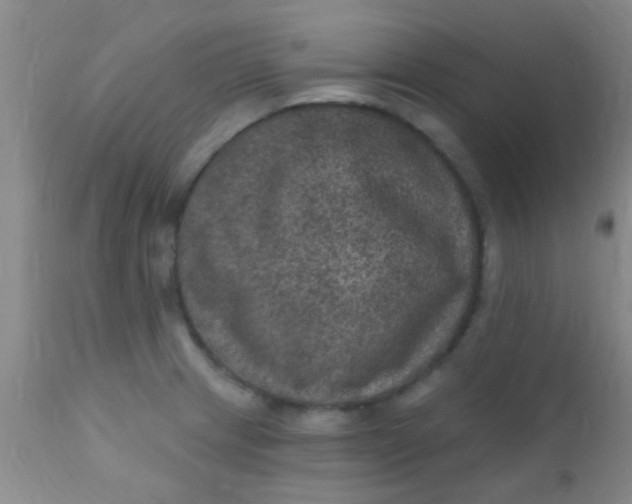 X0000110941233200907022126