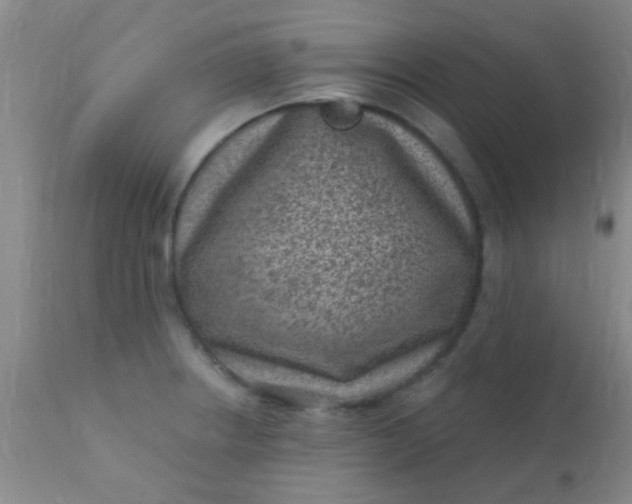 X0000110941234200907022126