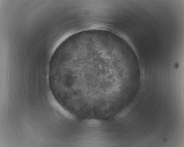 X0000110941235200907022126