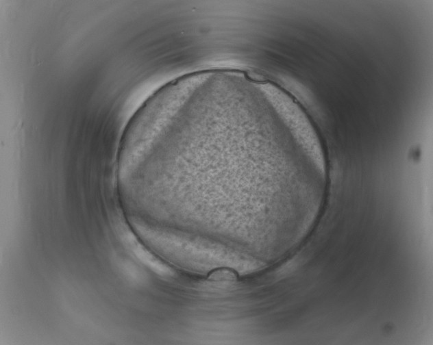 X0000110941236200907022126