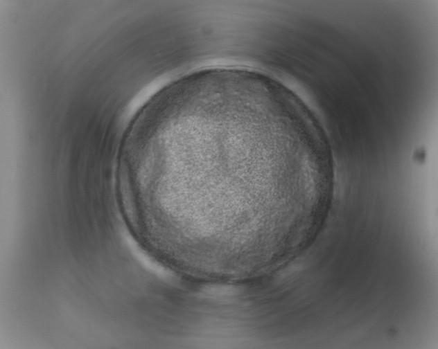 X0000110941237200907022126