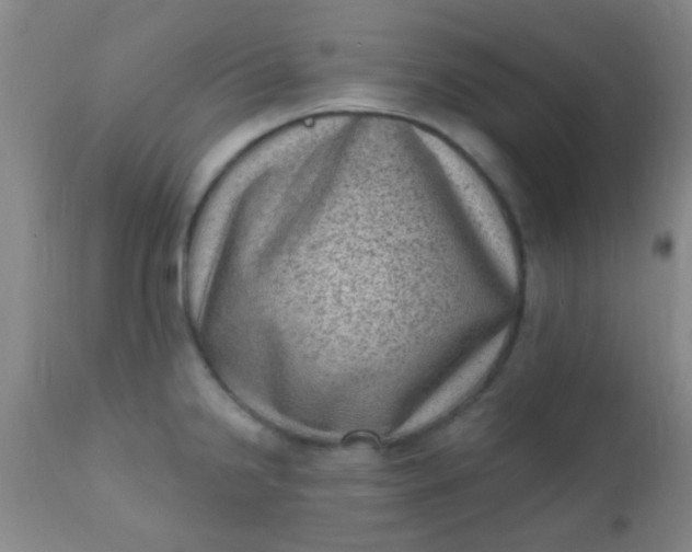 X0000110941238200907022126