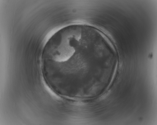 X0000110941239200907022126