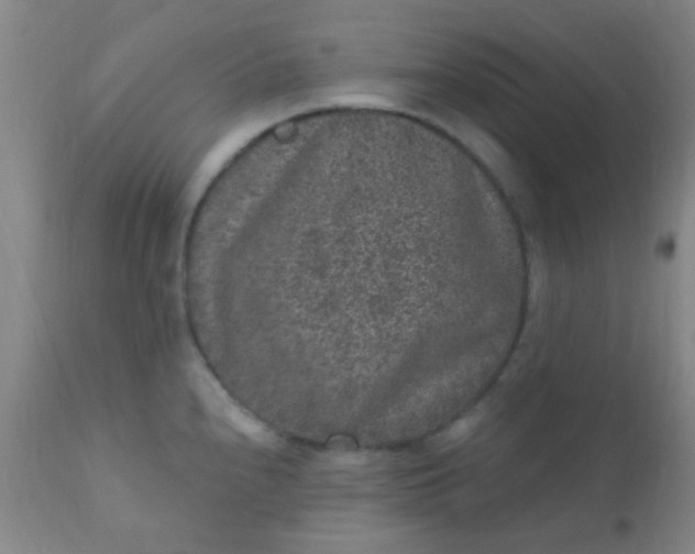 X0000110941240200907022126