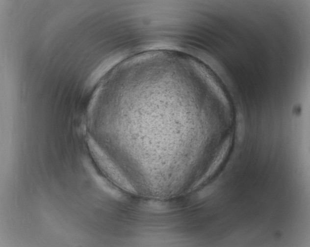 X0000110941241200907022126