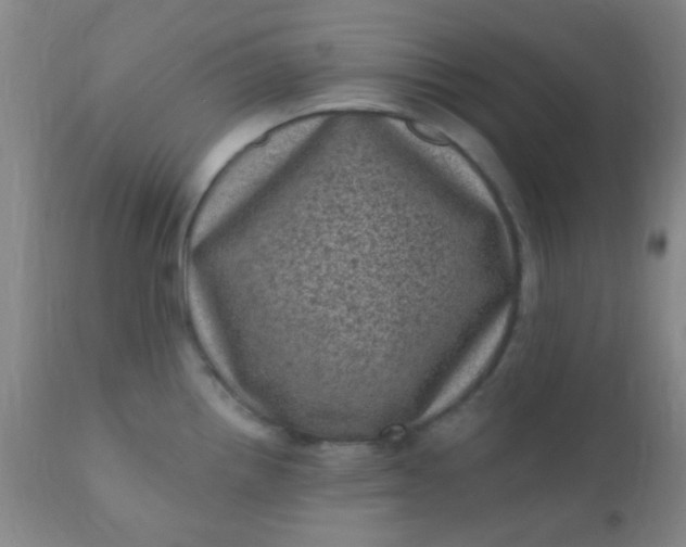 X0000110941242200907022126