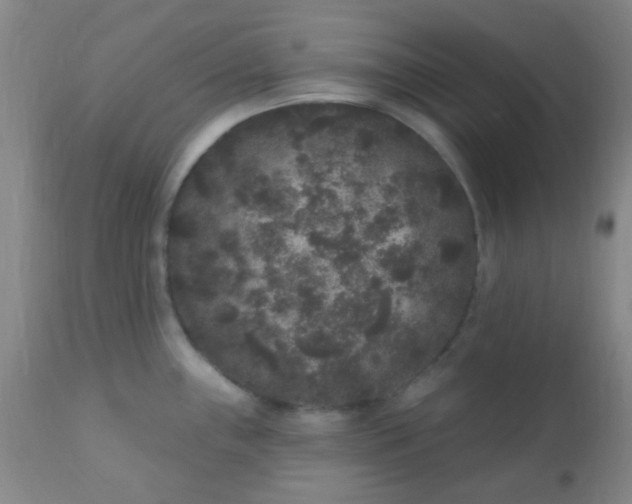 X0000110941243200907022126