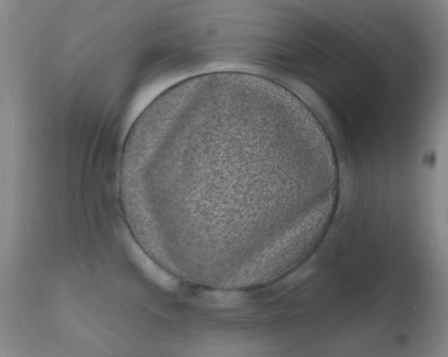 X0000110941244200907022126