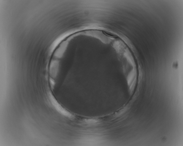 X0000110941246200907022126