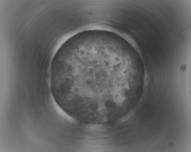 X0000110941247200907022126