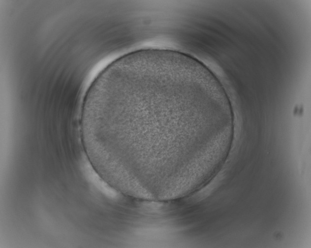 X0000110941248200907022126