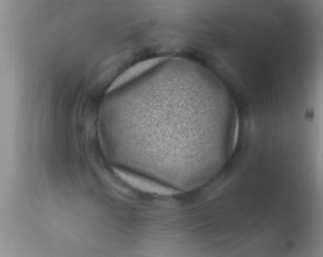 X0000110941250200907022125