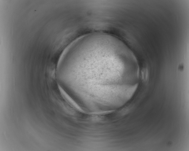 X0000110941251200907022125