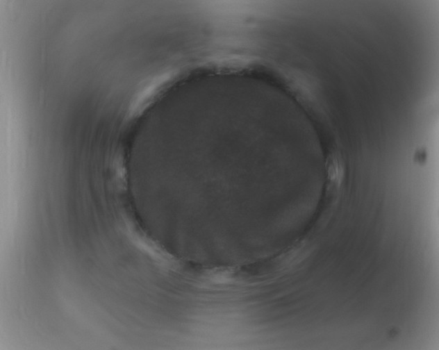 X0000110941252200907022125