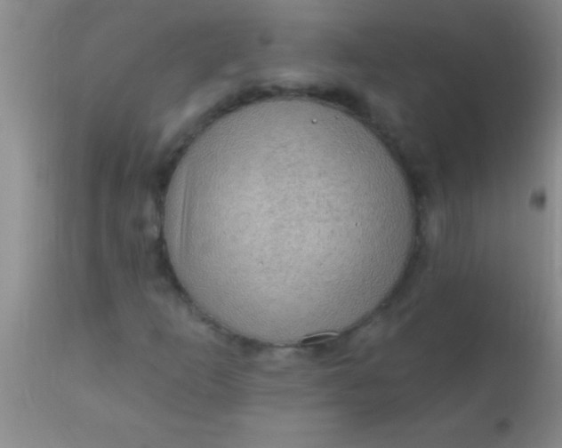 X0000110941253200907022125