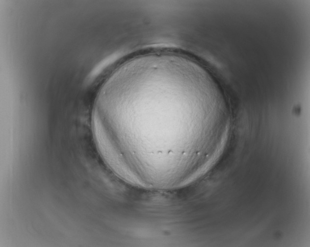 X0000110941255200907022125