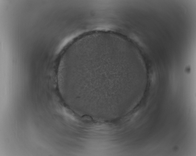 X0000110941256200907022125