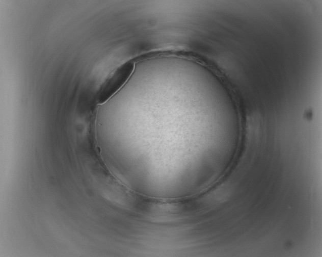 X0000110941257200907022125