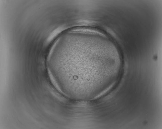 X0000110941259200907022125