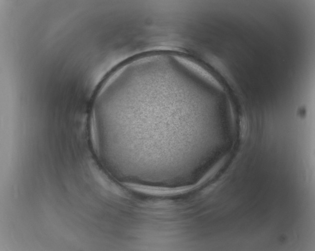 X0000110941260200907022125