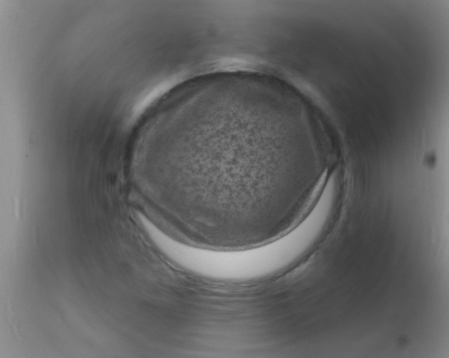 X0000110941261200907022125