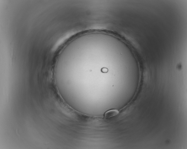 X0000110941262200907022125