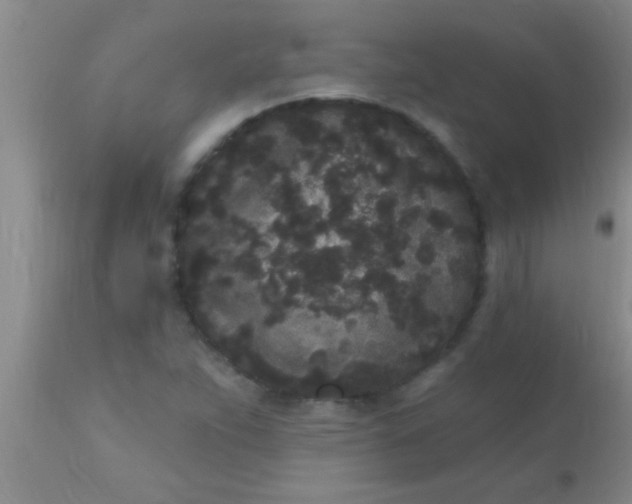 X0000110941263200907022125