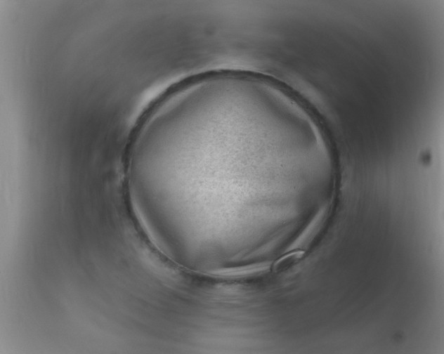 X0000110941264200907022125