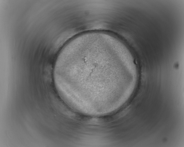 X0000110941265200907022125