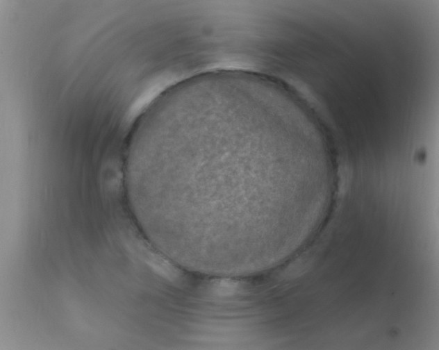 X0000110941266200907022125