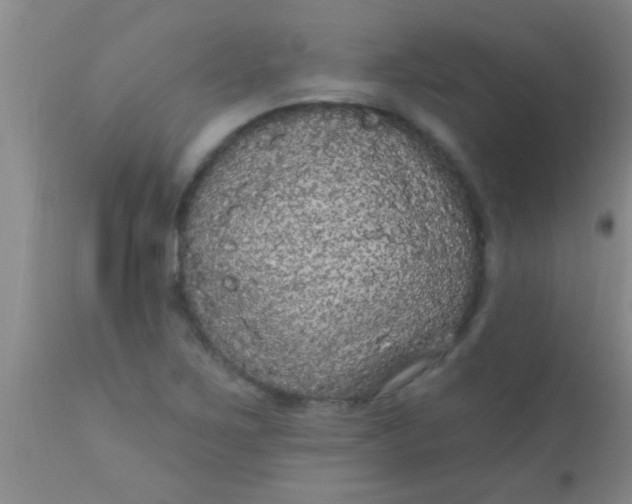 X0000110941267200907022125