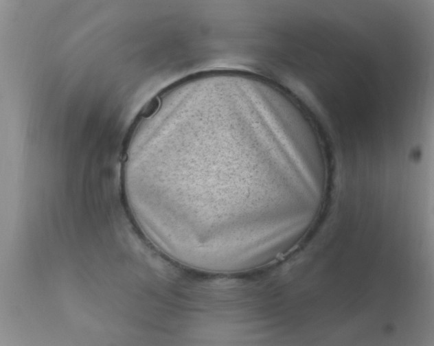 X0000110941268200907022125