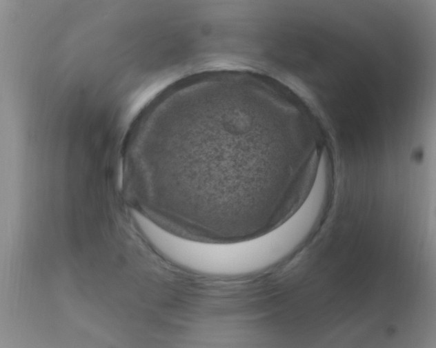 X0000110941269200907022125