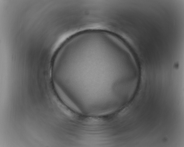 X0000110941270200907022125