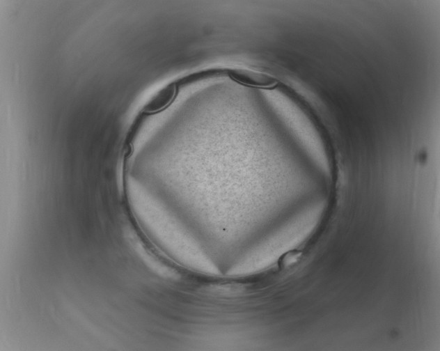 X0000110941272200907022125