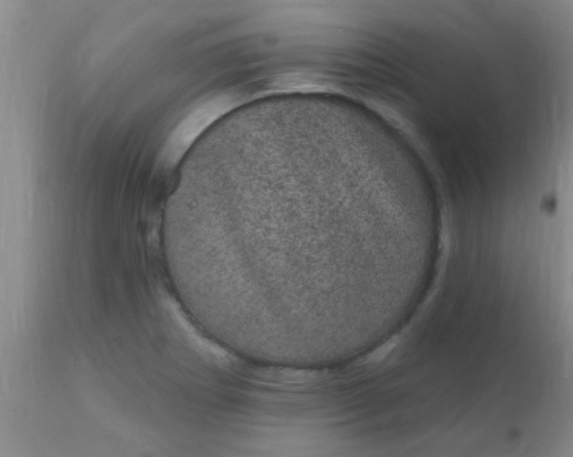 X0000110941273200907022125