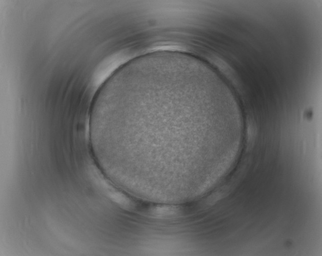 X0000110941274200907022125