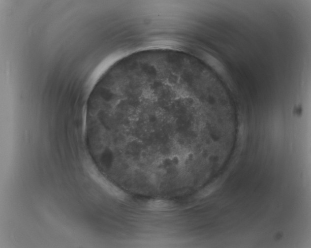 X0000110941275200907022125