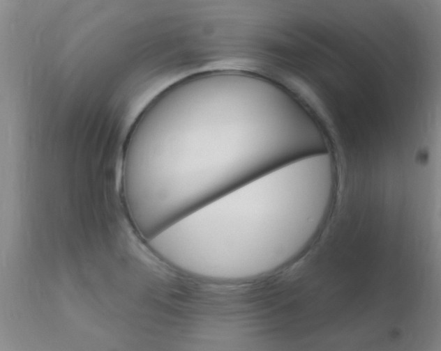 X0000110941276200907022125