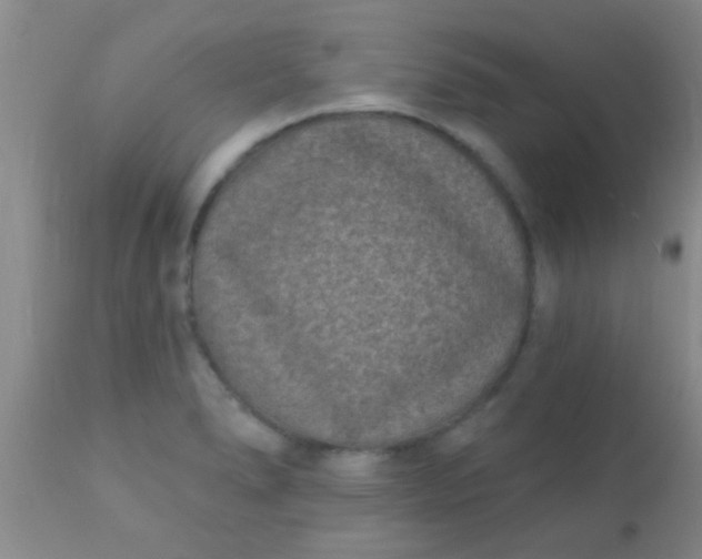 X0000110941278200907022125