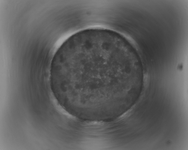 X0000110941279200907022125