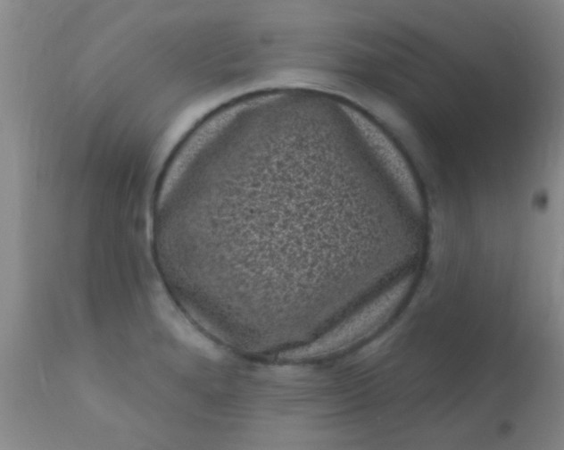 X0000110941280200907022125