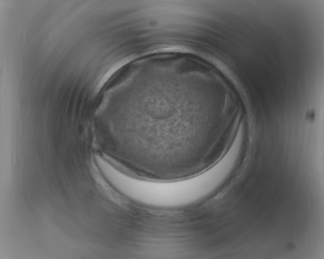 X0000110941281200907022125