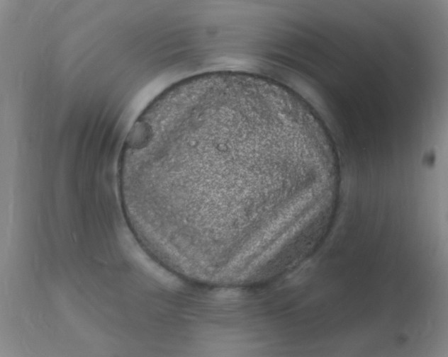 X0000110941283200907022125