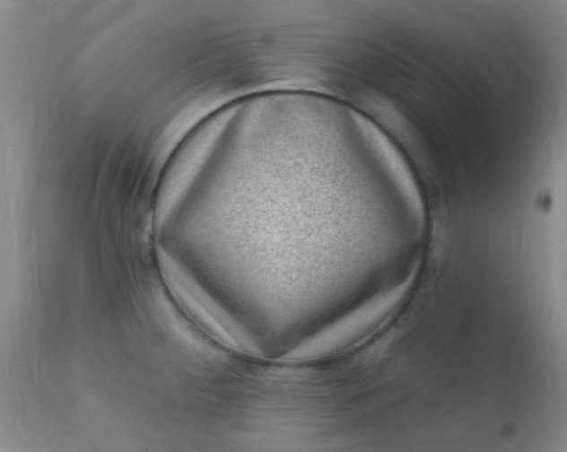 X0000110941284200907022125