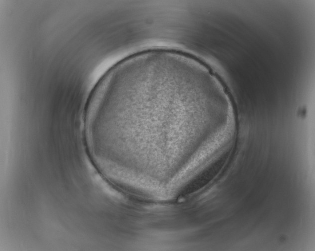 X0000110941287200907022125